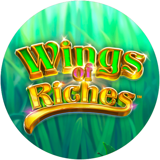 Logo Wings of Riches